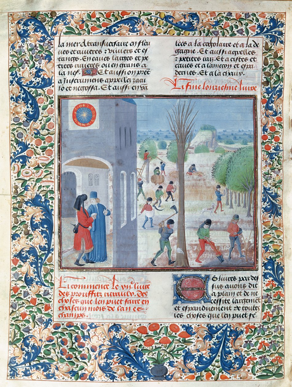 Ms 5064 f.299v Foglalkozások az év minden hónapjában, illusztráció a Le Livre des Prouffitz Champestresből, Pietro de Crescenzi (1230-132021) alkotó: French School