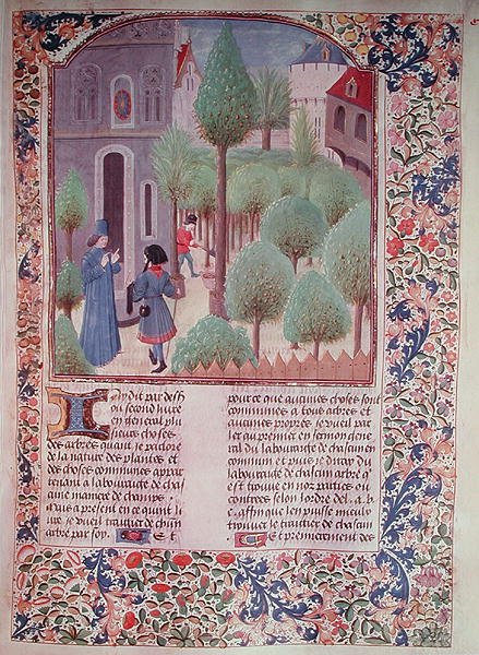 Ms 5064 fol.105r Fák ültetése, Livre des Prouffitz Champestresből, Pietro de Crescenzi (1230-132021) alkotó: French School