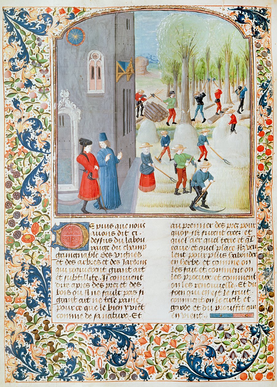 Ms 5064 fol.198v Fák kivágása és betakarítás, Livre des Prouffitz Champestrestől, Pietro de Crescenzi (1230-132021) alkotó: French School