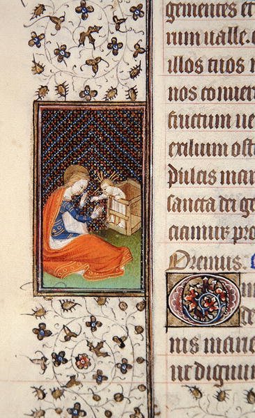 Ms 62, f.205v: Szűz és gyermek, részlet egy francia órakönyvből, 1445-50 körül (vellum) alkotó: French School