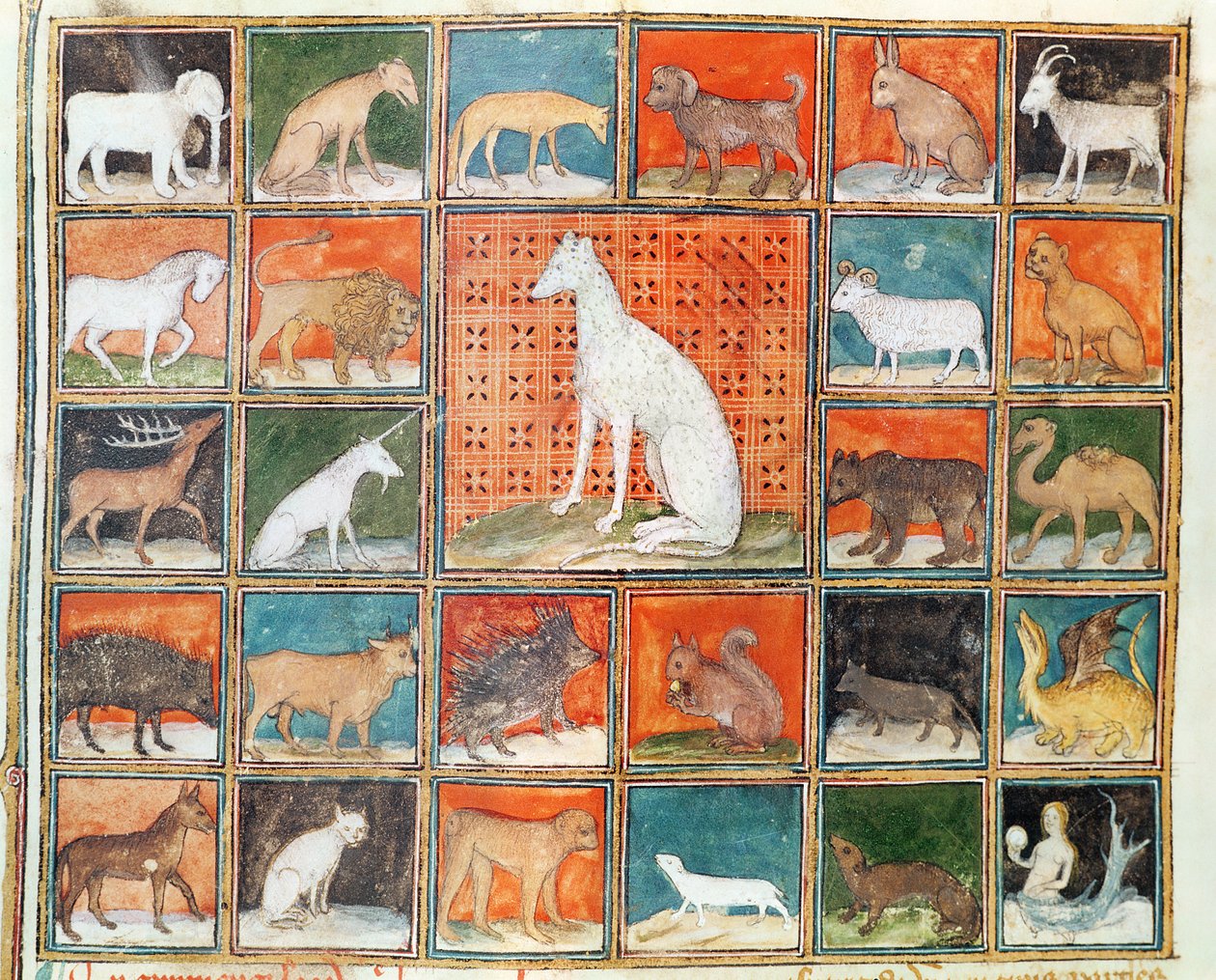 Ms 993 fol.254v The Properties of Beasts: The Mammals, Jean Cordichon Le Livre des Proprietes des Choses-ból alkotó: French School