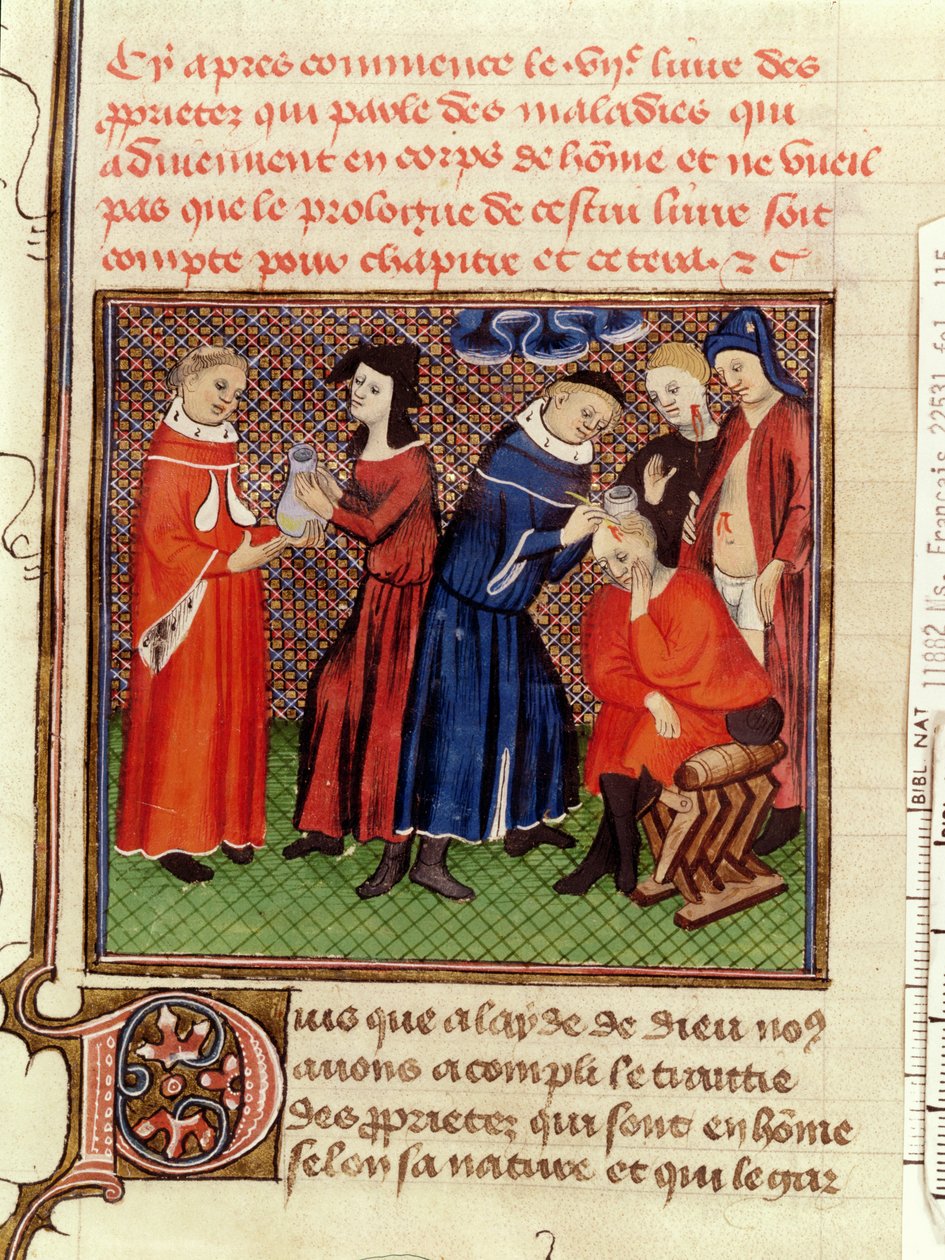 Ms Fr 22531 Fol.115 A vizeletvizsgálat és a sebek gyógyulása, Barthelemy lAnglais Le Livre des Proprietes des Choses című művéből, 1410-1415 körül alkotó: French School