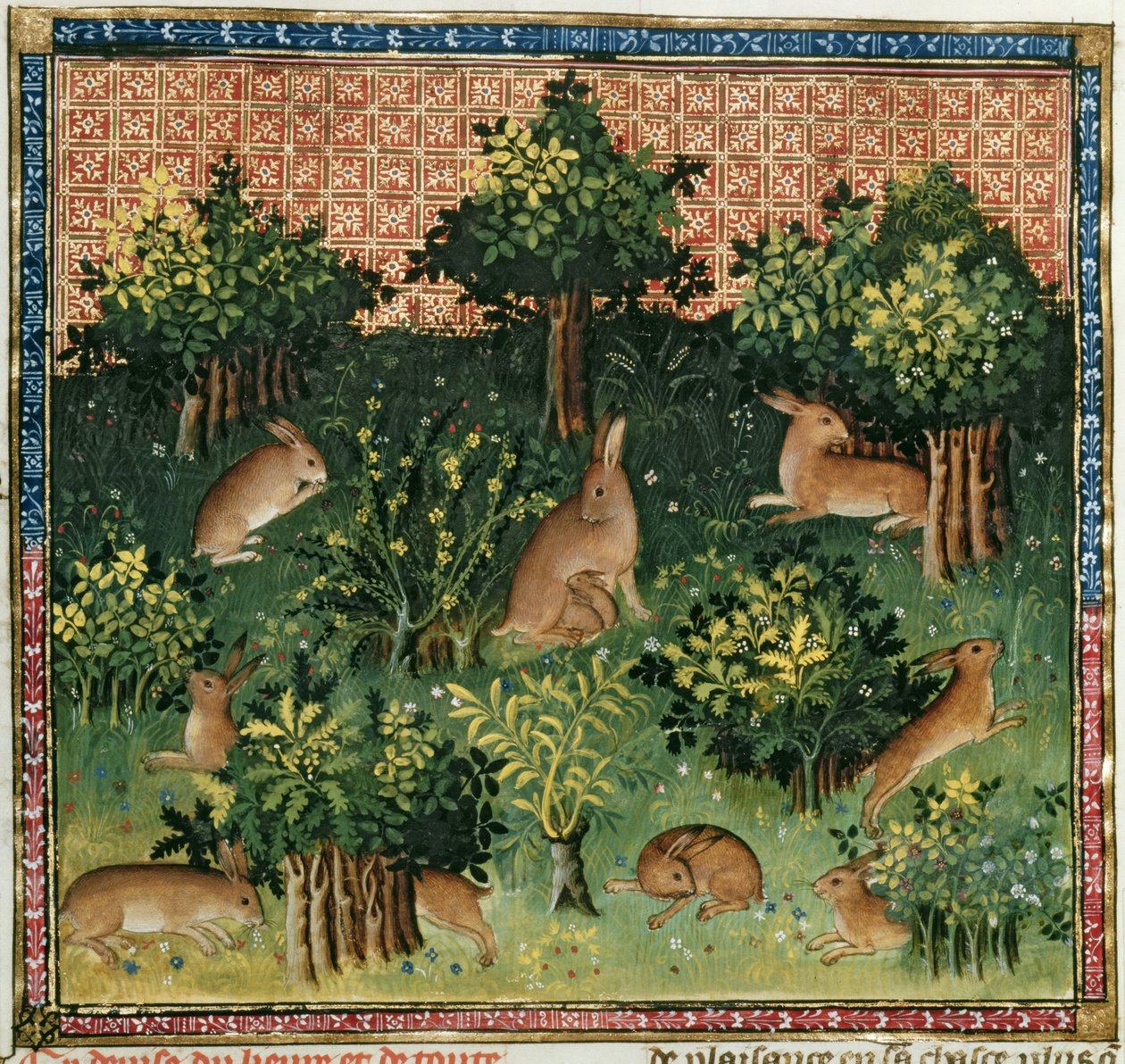 Ms Fr 616 fol.24v Nyulak az erdőben, a Livre de la Chasse-ból, Gaston Phebus de Foix (1331-91) alkotó: French School