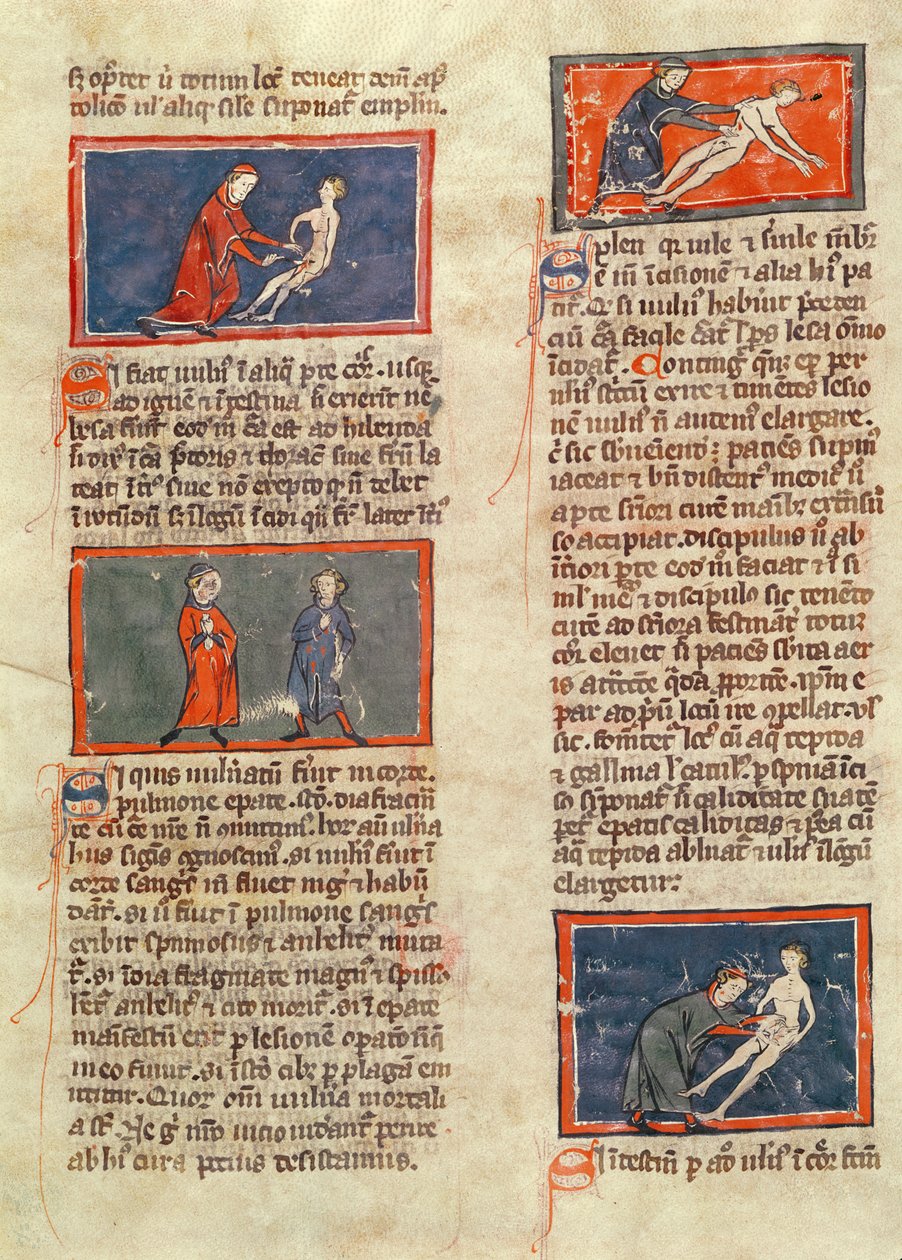 Ms H 89 fol.21v Anatómiai figurák, Rogier de Salerne „Sebészet könyve” kiadásából alkotó: French School