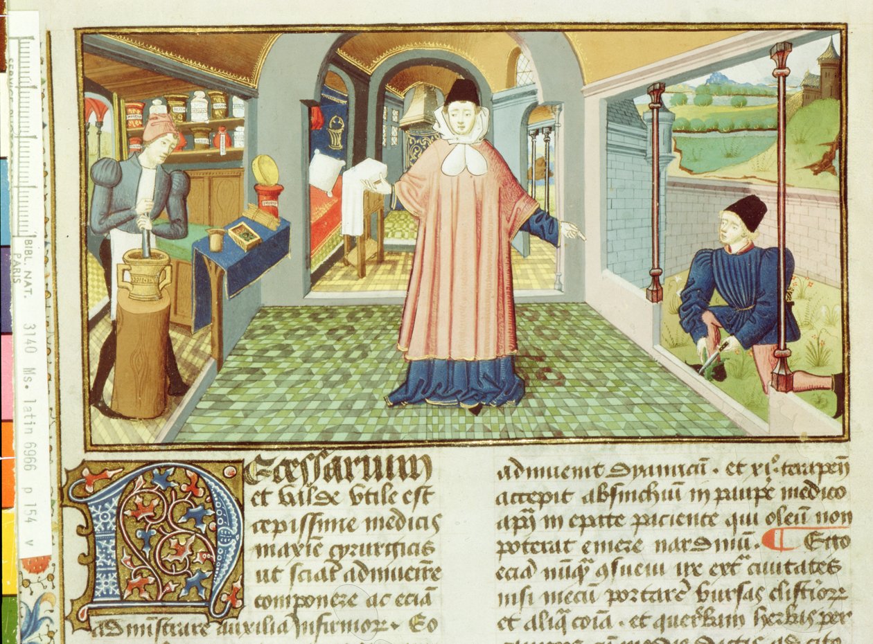 Ms Lat 6966 fol.154v Növények levágása és gyógyszerkészítés, a LAntidotaire-től, Bernard de Gordon alkotó: French School