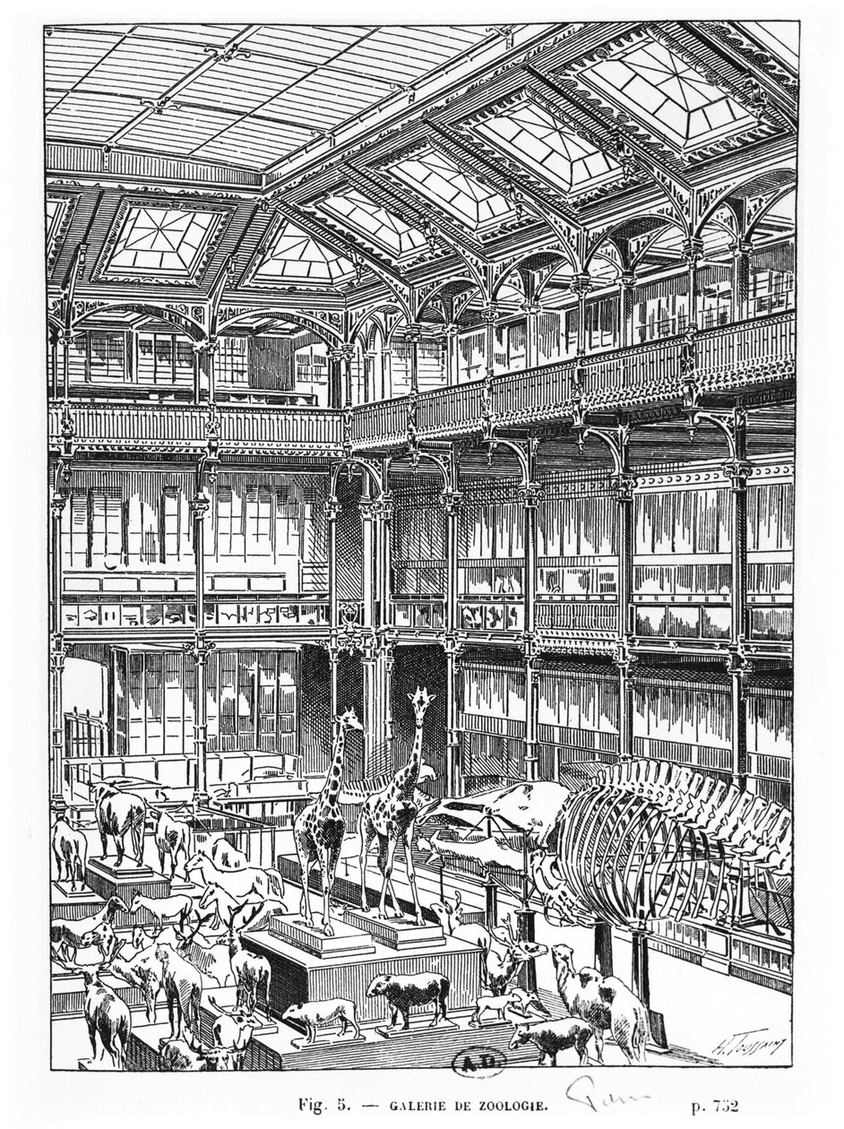 Természettudományi Múzeum Párizsban alkotó: French School