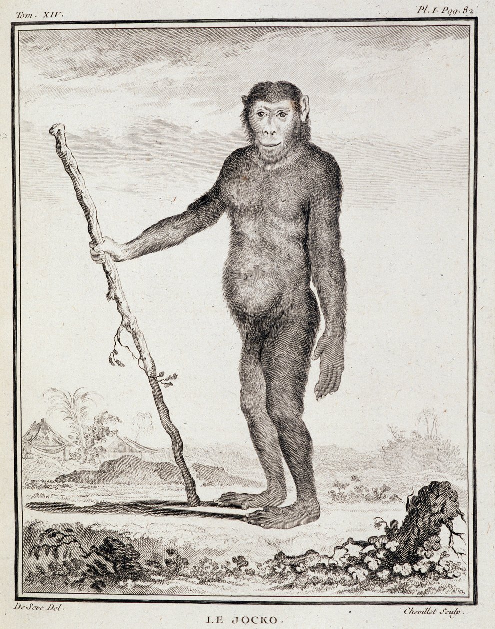Természettudományi lemez: Buffon "Általános és különös természetrajz"-ában. alkotó: French School