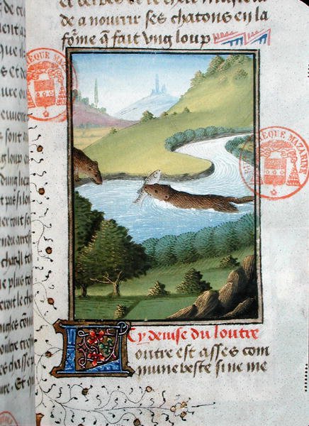 Halat fogó vidra, a Livre de la Chasse-ból, Gaston Phebus de Foix (1331-91) (vellum) alkotó: French School
