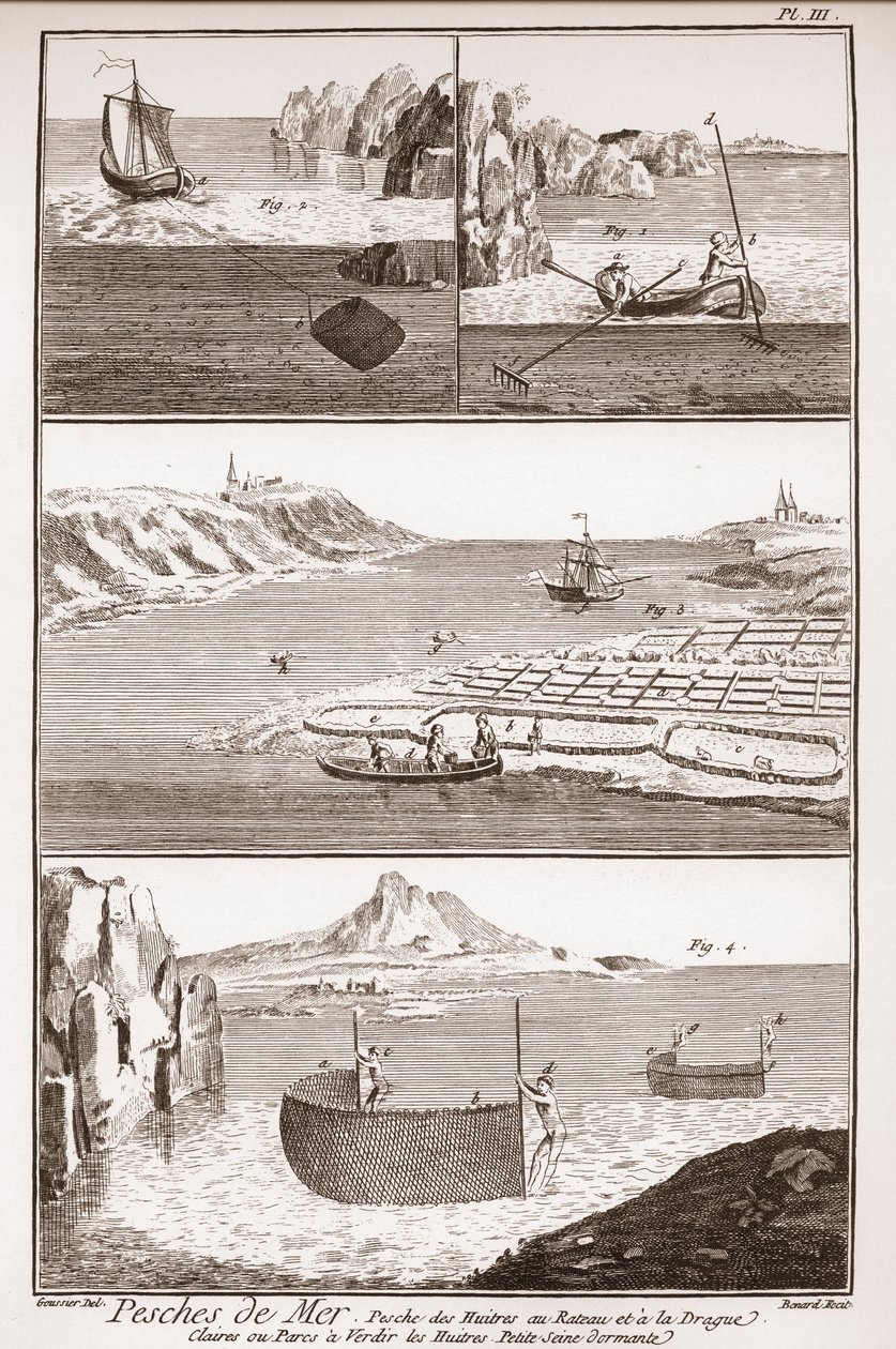 Osztrigahalászat – Denis Diderot (1713-1784) és Jean d