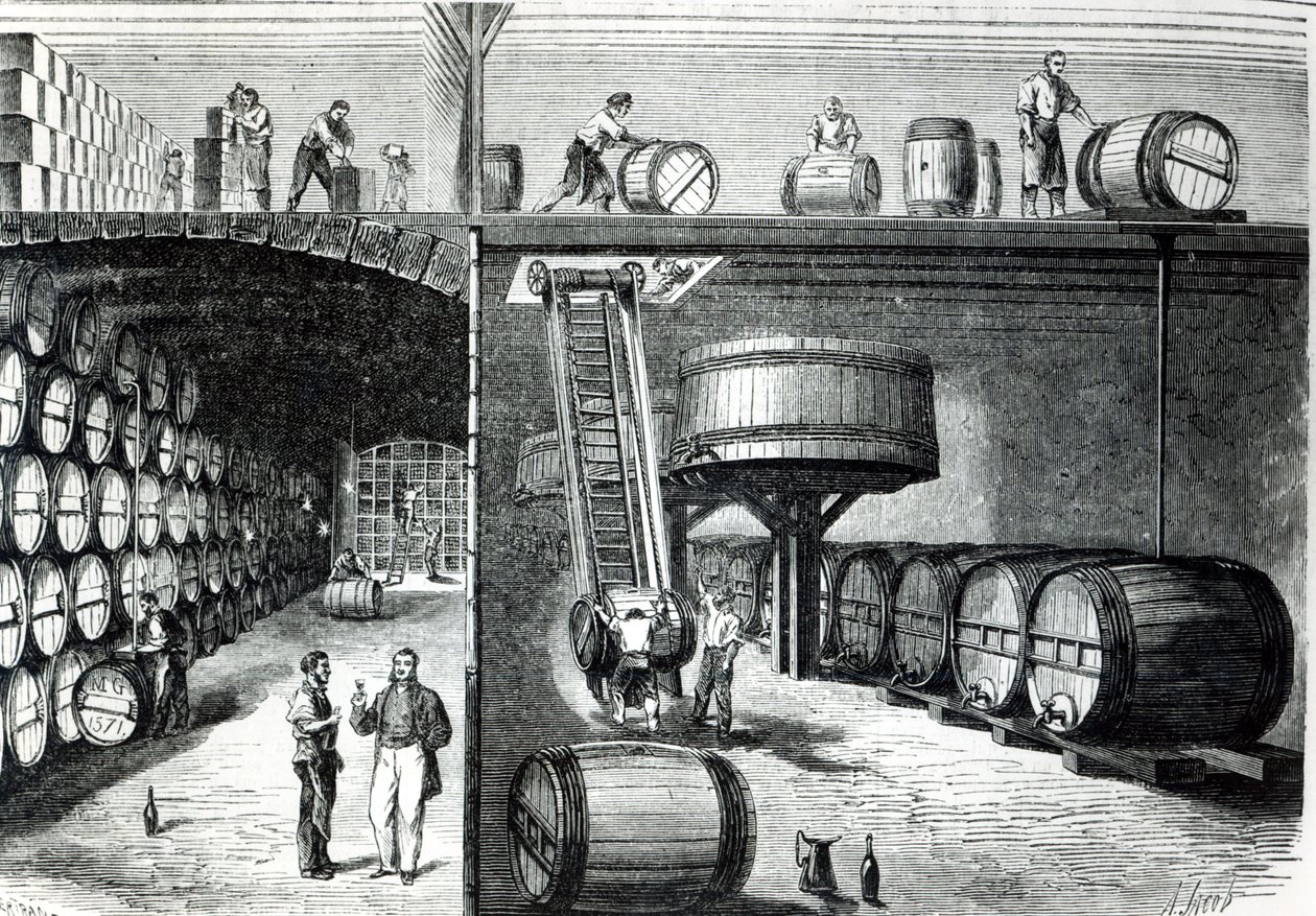 P. Morel és F. Souzac pincék és műhelyek Bordeaux-ban a Le Monde Illustre-ből, 1864 alkotó: French School