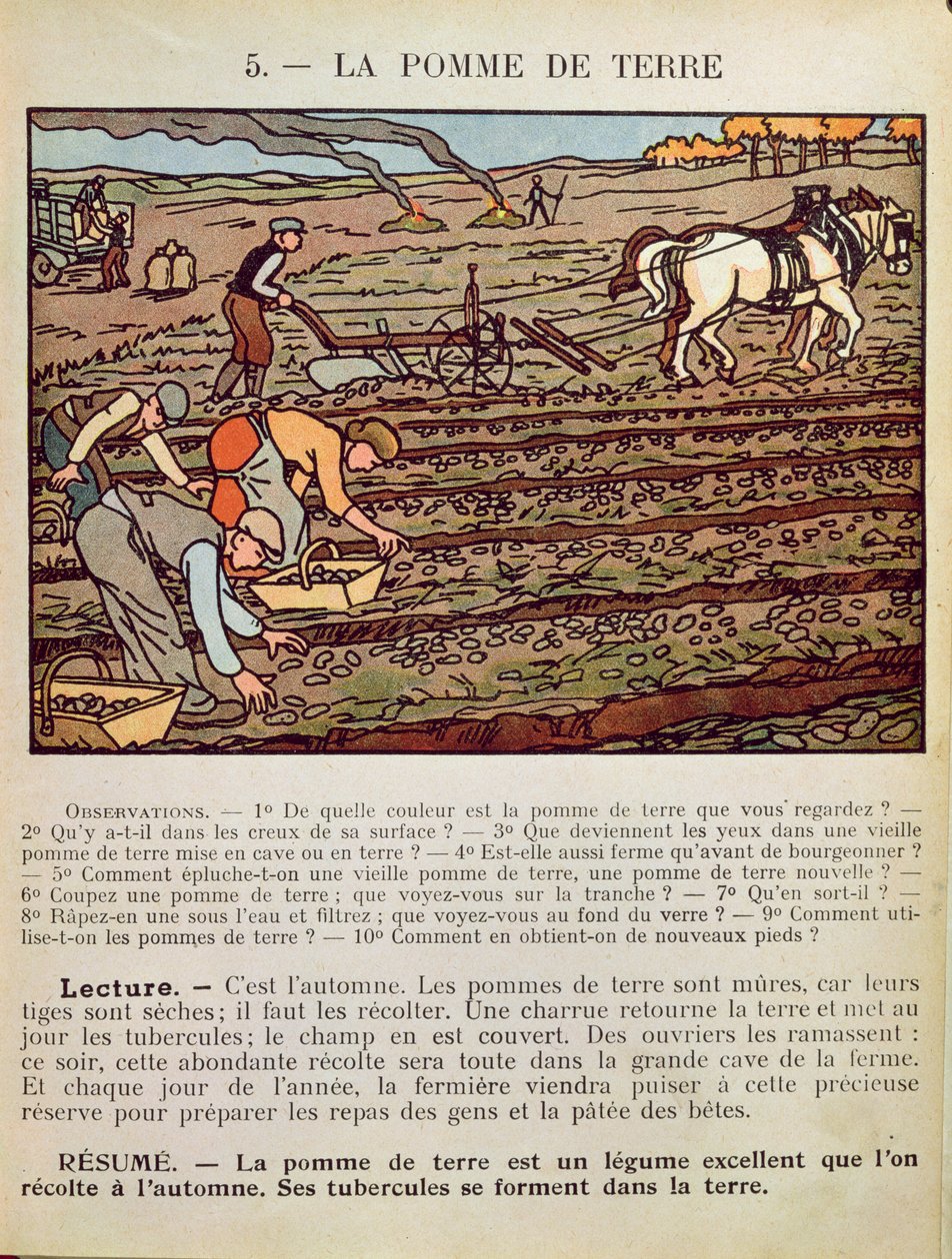Oldal a burgonyatermesztést illusztráló iskolai tankönyvből, 1910 körül alkotó: French School
