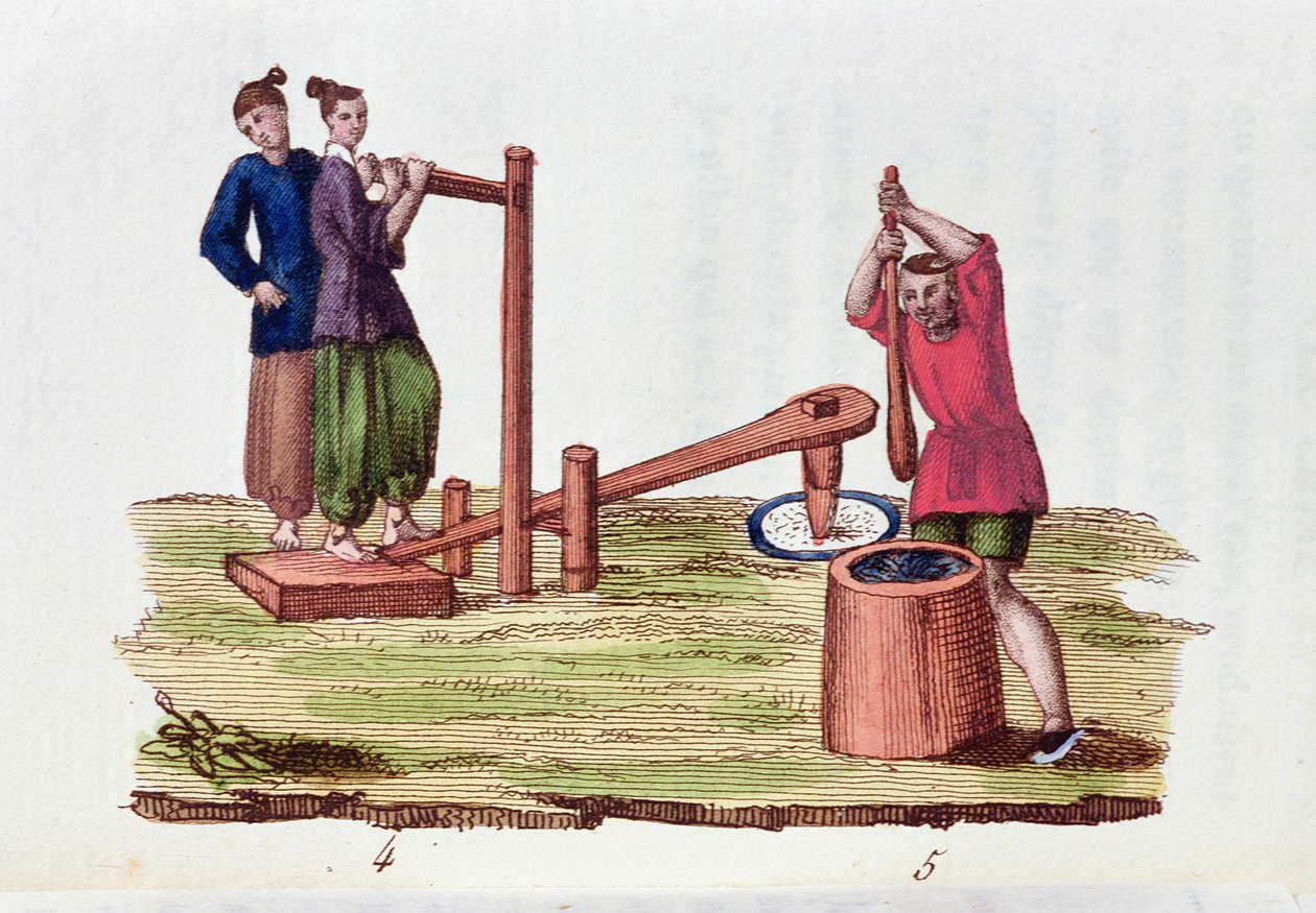 Papírgyártás bambuszból, a La Chine en Miniaturestől, M. Bretontól, megjelent Párizsban, 1811 alkotó: French School