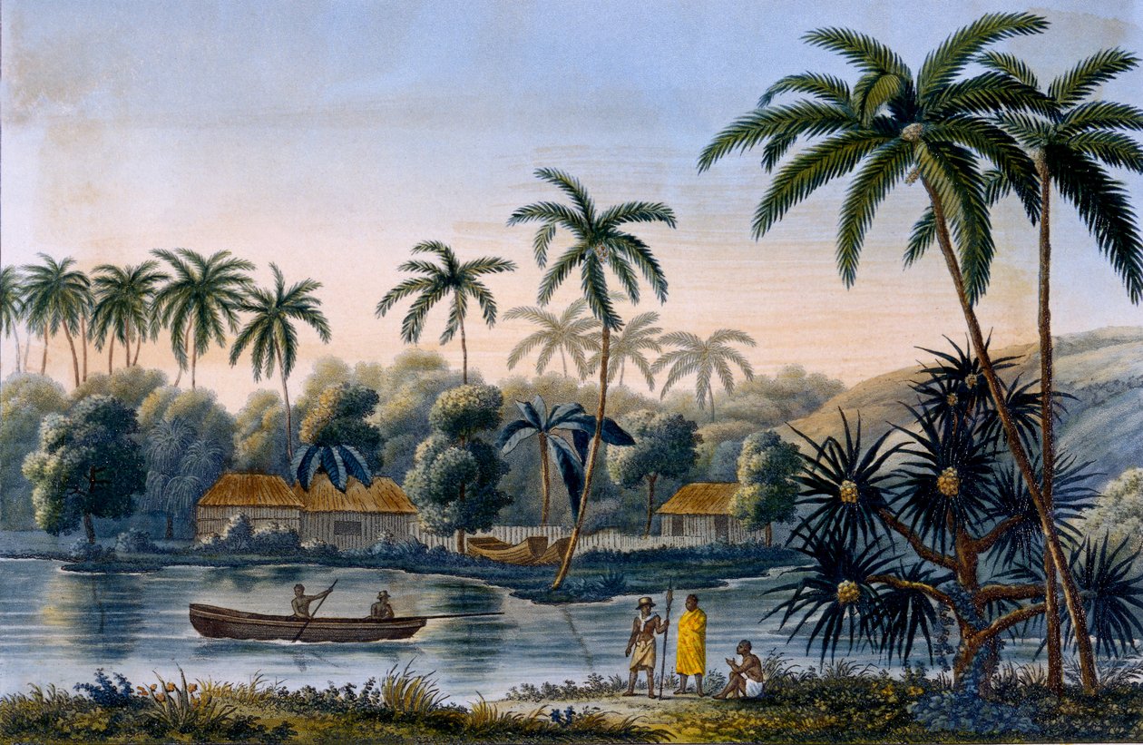 Matavae falu része, kókuszpálmák és más gyümölcsök, Tahiti, Louis Isodore Duperrey hadnagy által kiadott Voyage around the World on the Corvette Coquille, 1826 alkotó: French School
