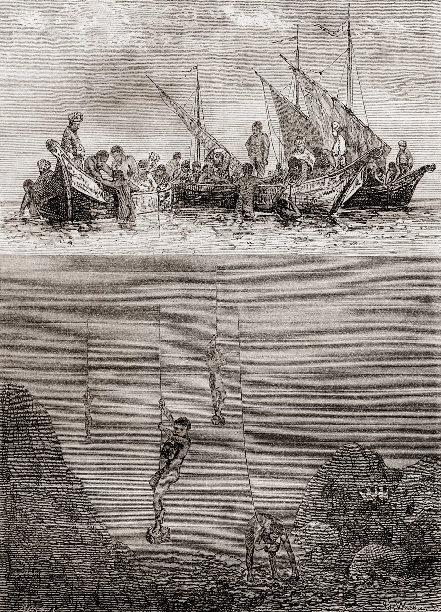 Gyöngybúvárok Ceylon szigetének partjainál a 18. században, a "Les Merveilles de la Science"-ből, 1870 körül megjelent (metszet) alkotó: French School