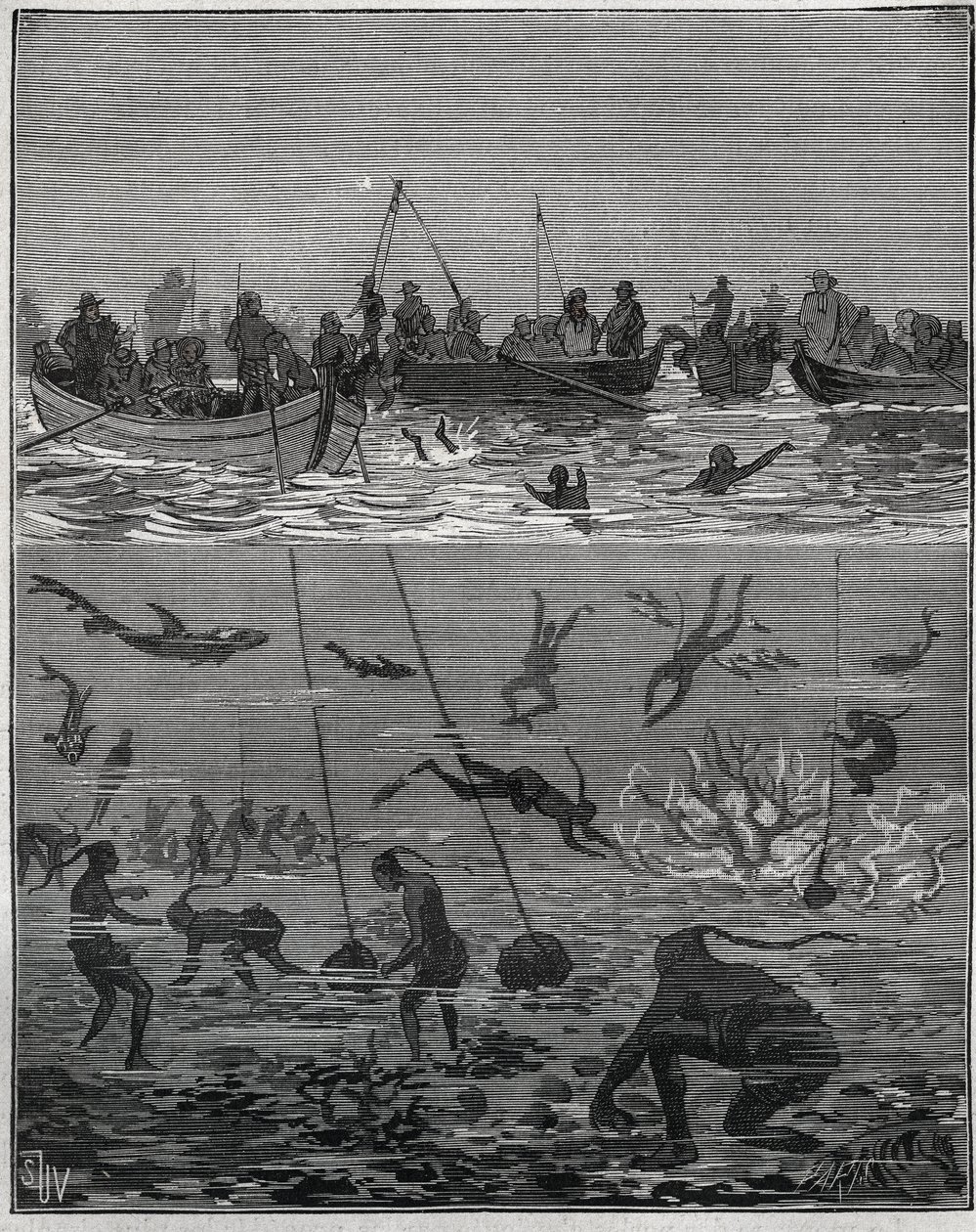 Gyöngybarack Ceylonban (a mai Sri Lanka) a XIX. Metszet 1885-ből Adolphe BITARD „Les arts et metiers illustres” című könyvében. alkotó: French School