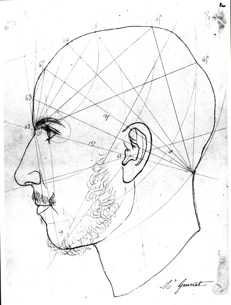 Frenológiai tanulmány, Doktor Philippe Jean Pelletan (1747-1829) könyvtárának kéziratából (toll és tinta papíron) alkotó: French School