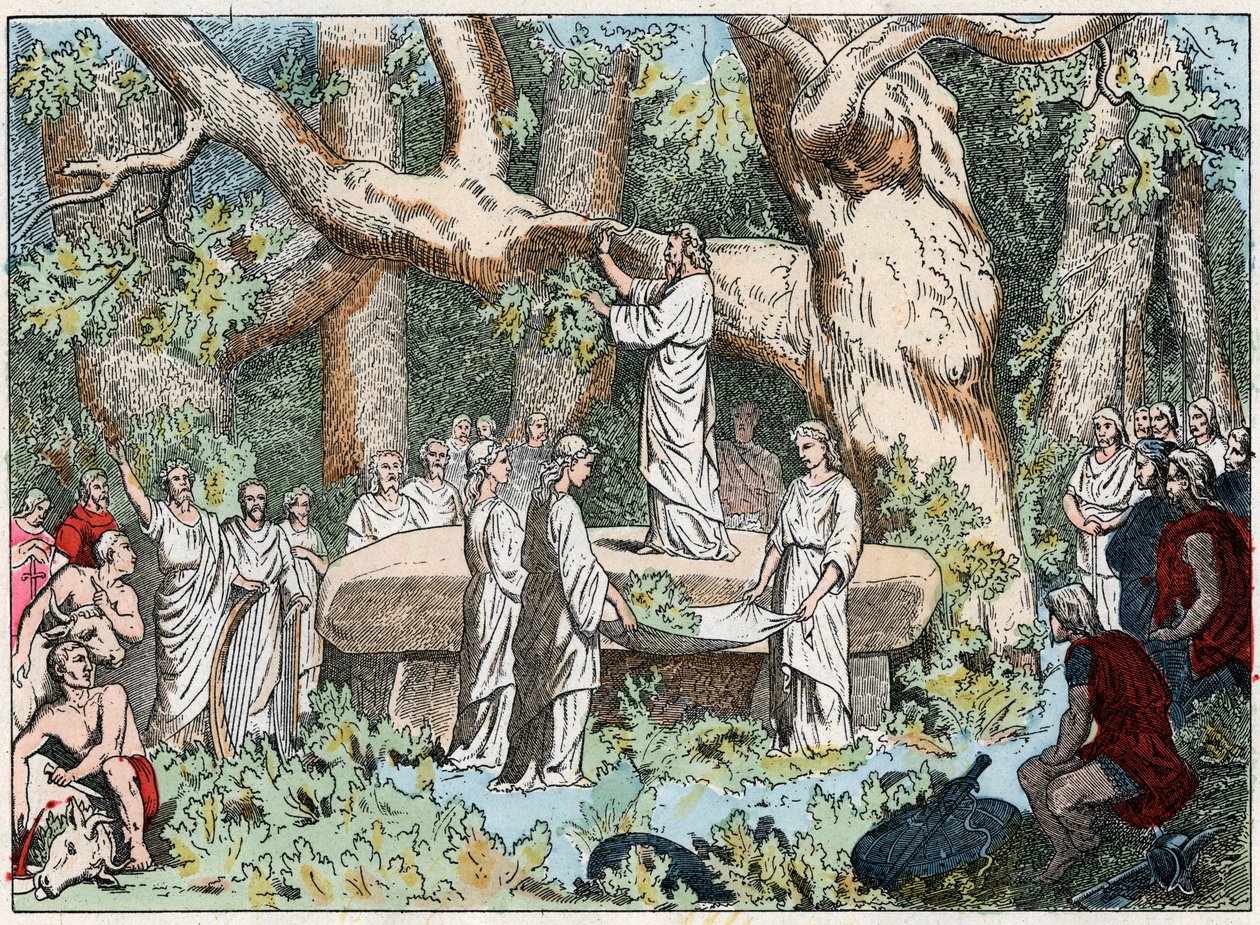 Fagyöngy szedése a druidáktól Galliában, 19. század vége (metszet) alkotó: French School