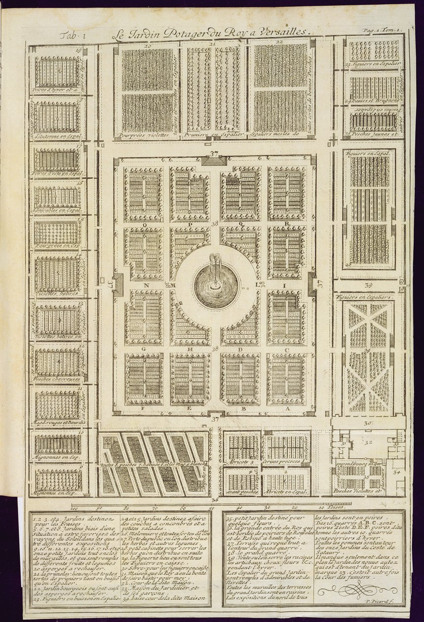A Versailles-i királyok veteményeskertjének terve, a Le Parfait Jardinier-ből, ou Instruction pour les Jardins Fruitiers et Potager, Jean de la Quintinye, megjelent 1695 alkotó: French School