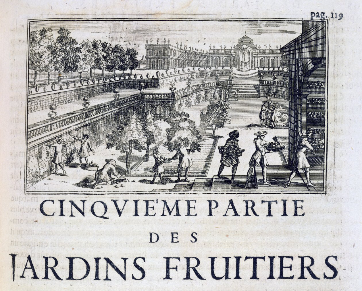 Gyümölcsfák ültetése a Le Parfait Jardinier-ből, vagy Instruction pour les Jardins Fruitiers et Potager, Jean de la Quintinye, megjelent 1695 alkotó: French School