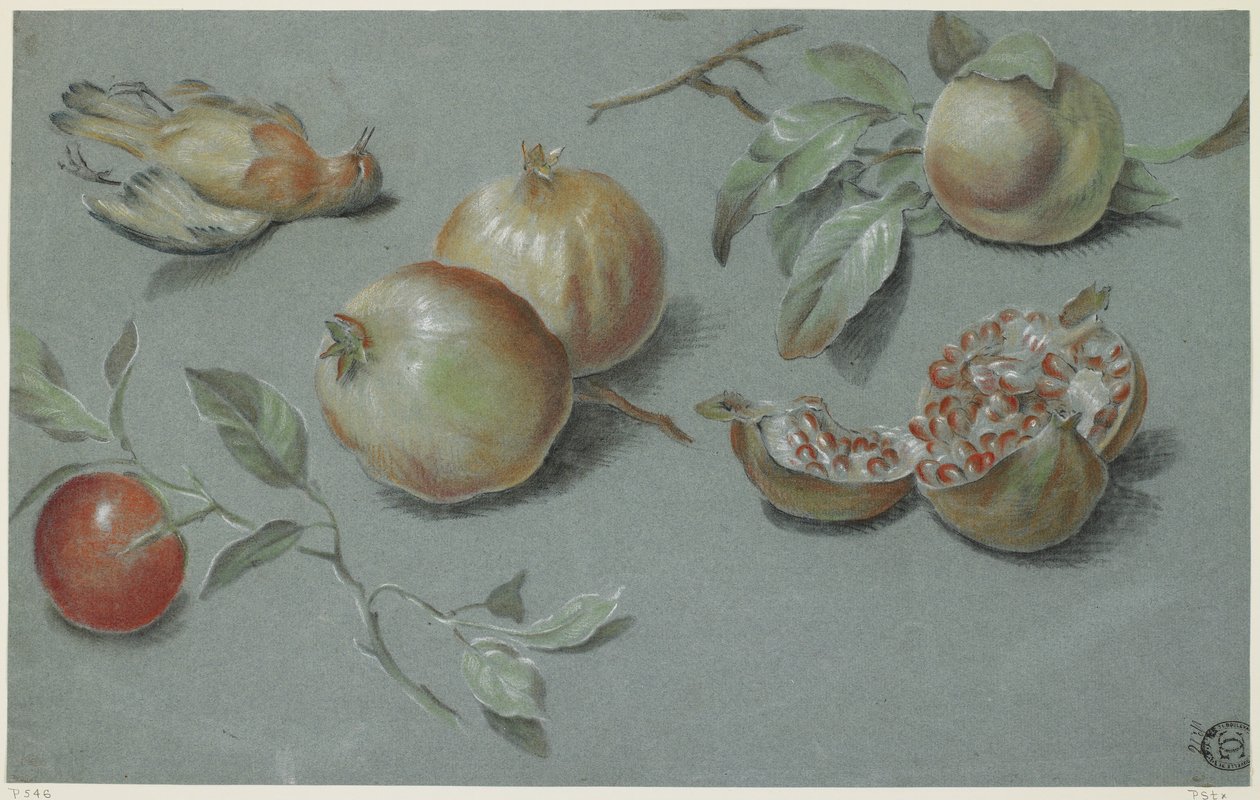 Gránátalma és döglött madár, 19. század eleje (kréta papíron) alkotó: French School