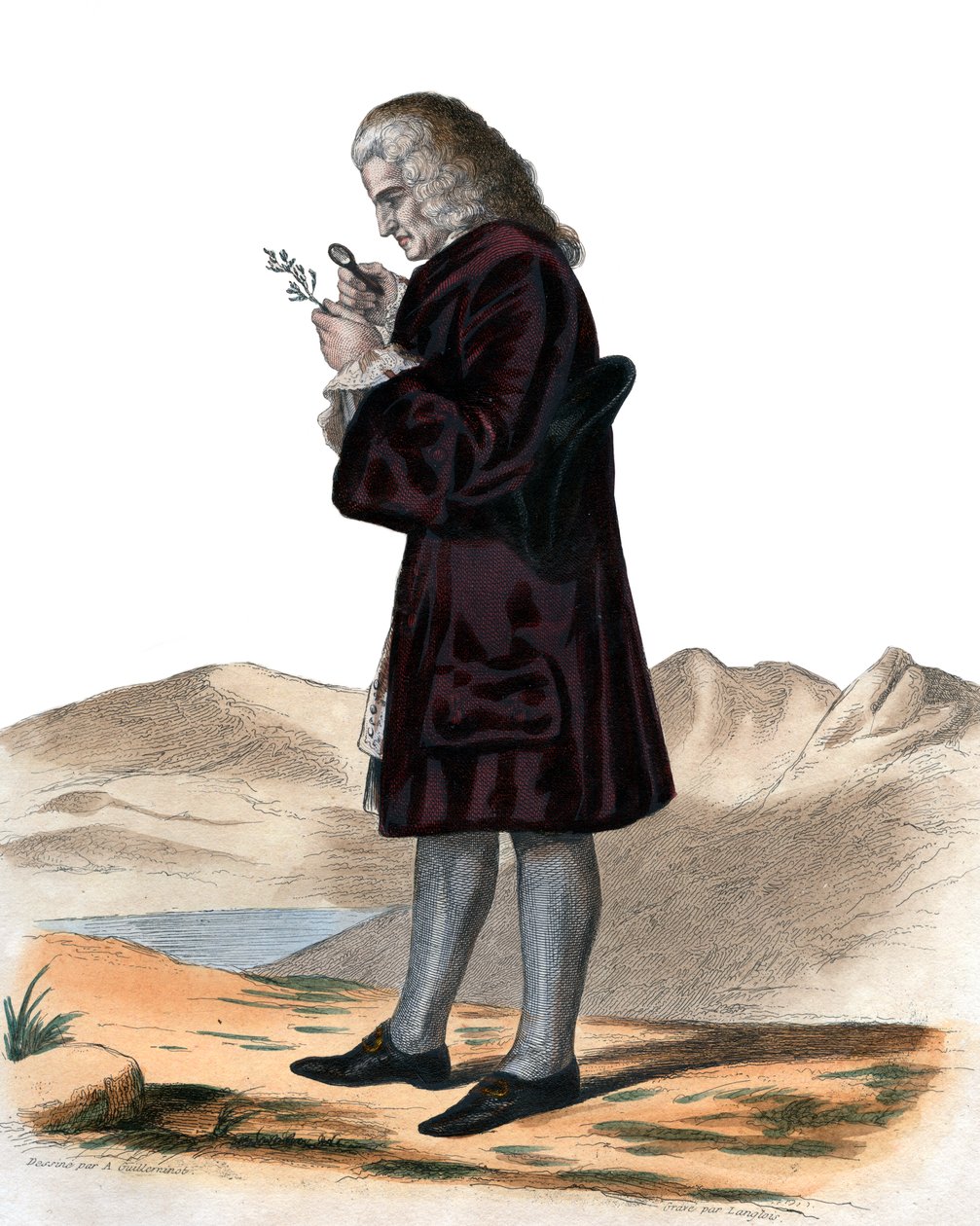 Bernard de Jussieu (1699-1777) francia természettudós portréja. alkotó: French School