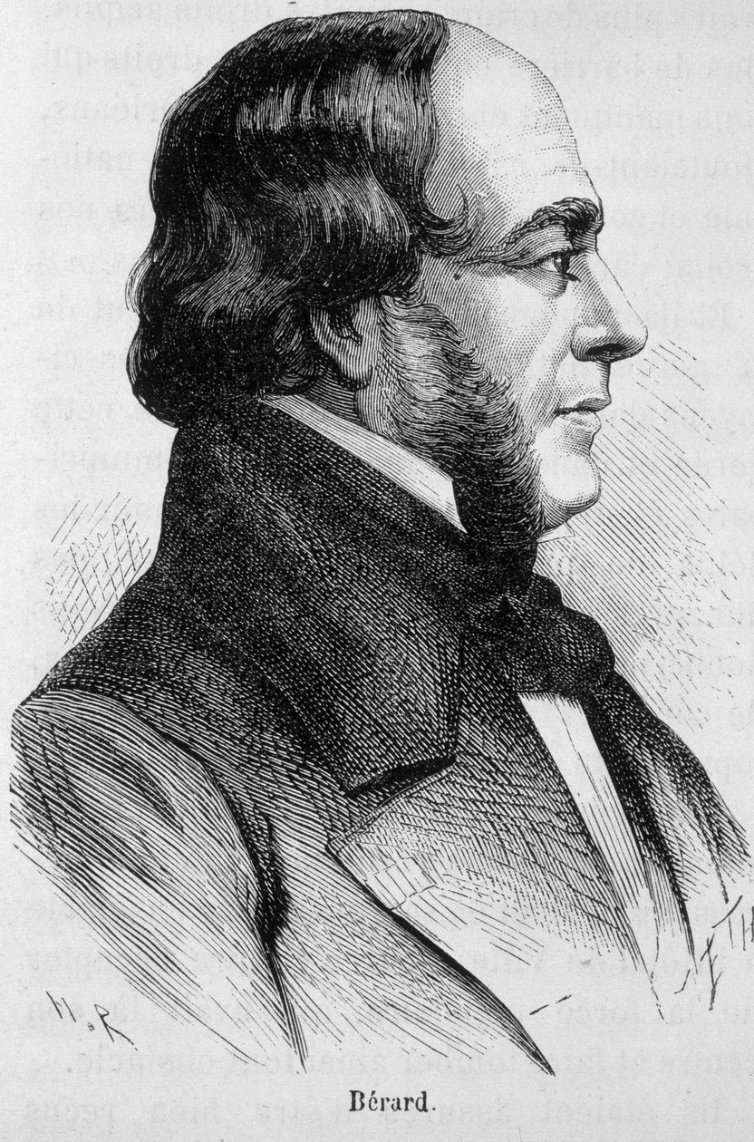 Bérard portréja – Henri Martin „Franciaország története” című kötetében alkotó: French School