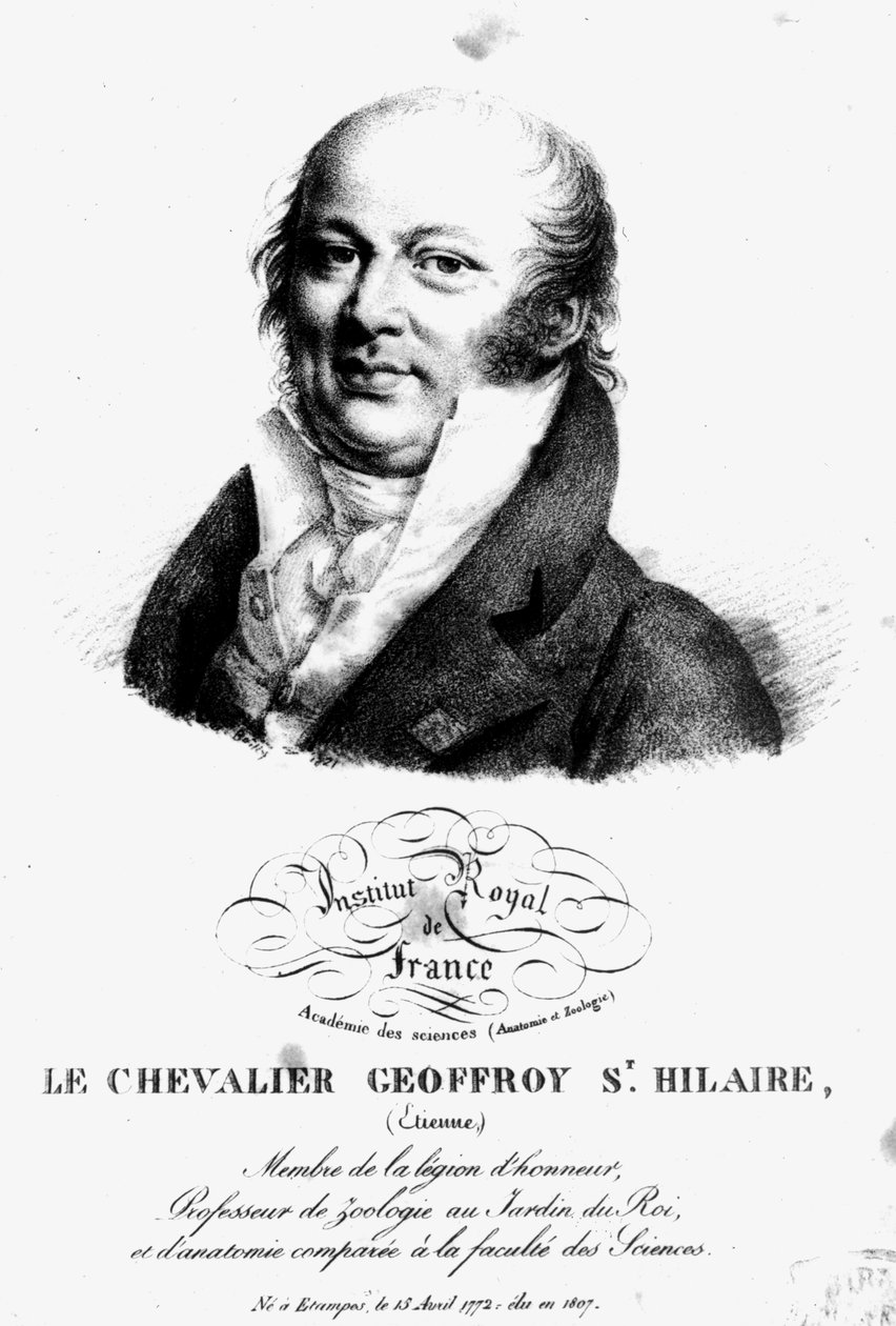 Etienne Geoffroy Saint-Hilaire (1722-1844) portréja alkotó: French School
