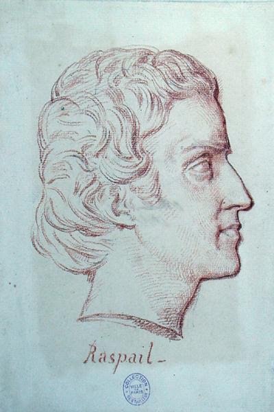 Francois Vincent Raspail (1794-1878) portréja (vörös kréta, papír) alkotó: French School