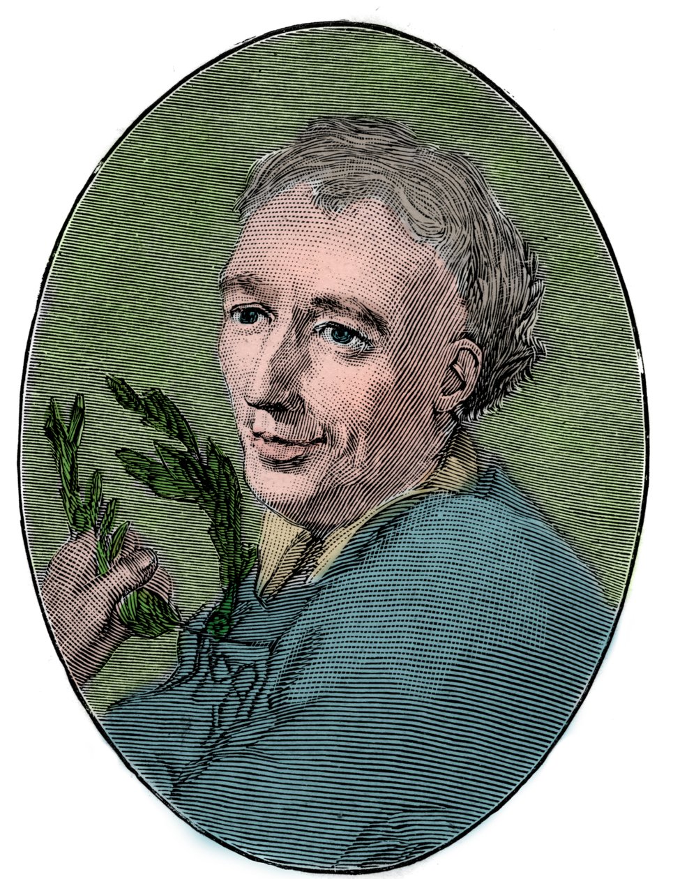 Laurence Eusden (1688-1730) angol költő portréja. alkotó: French School