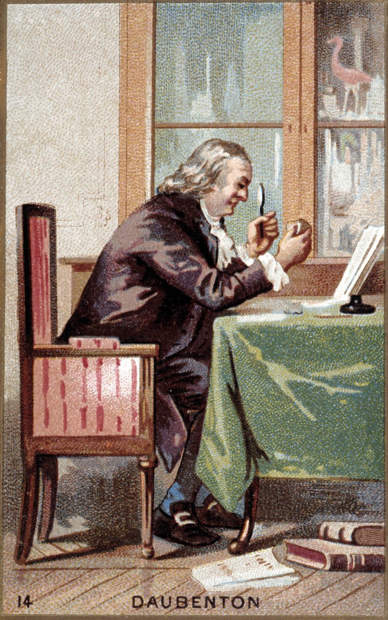 Louis Jean Marie Daubenton (1716-1800) francia természettudós portréja. alkotó: French School