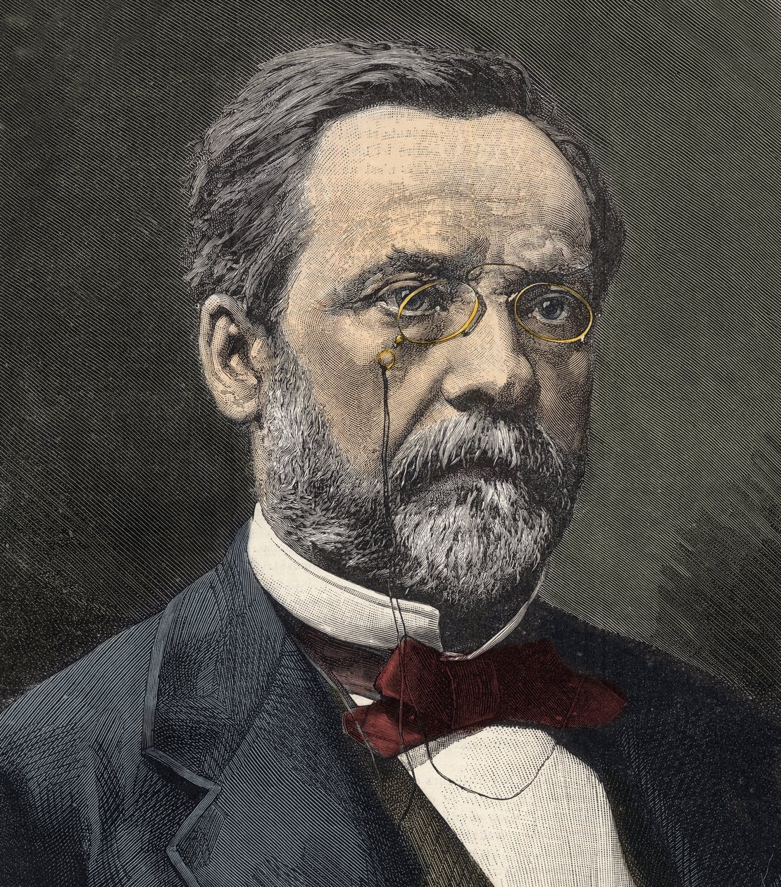Louis Pasteur (1822-1895) angol kémikus és mikrobiológus portréja alkotó: French School