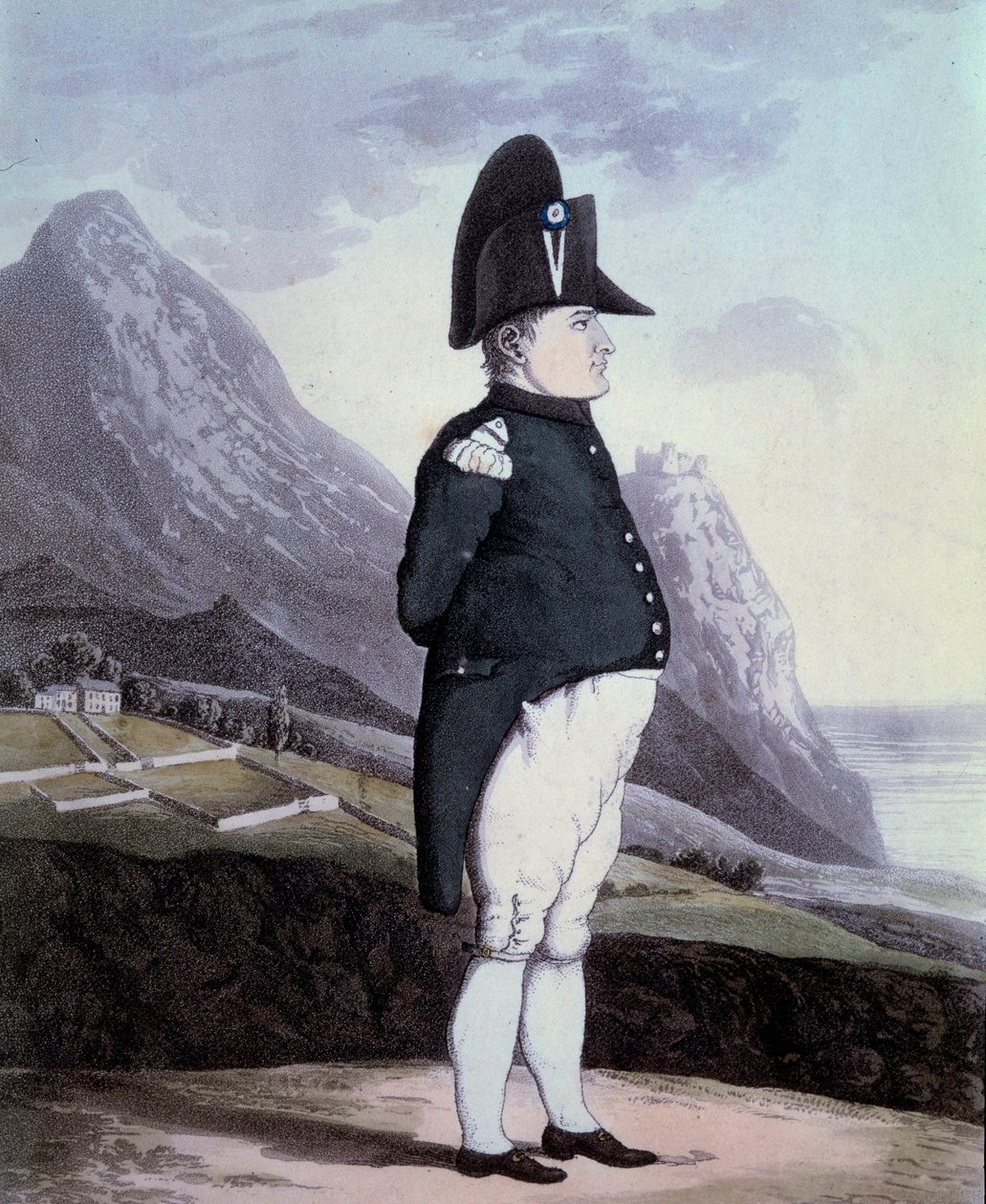I. Napóleon (1769-1821) portréja Sainte Helene szigetén 1815 májusában Metszet a 19. századi Ile d
