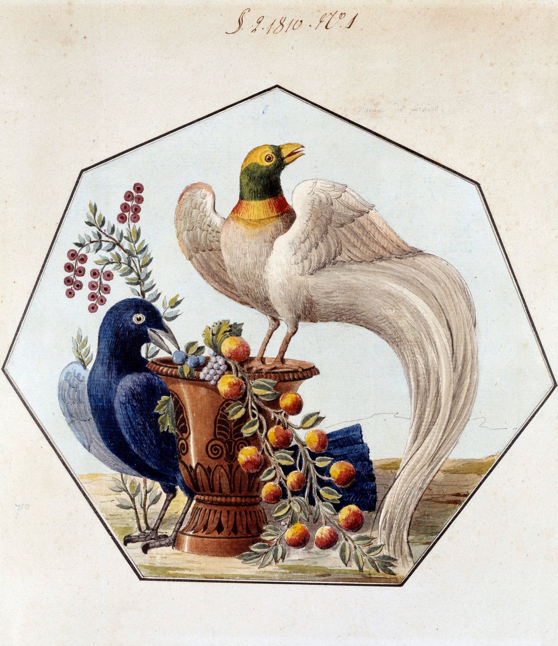 Alexandre Brongniart (1770-1847) projekt a porcelán madárasztalhoz. 1810 Sevres, a Manufacture de Sevres archívuma alkotó: French School