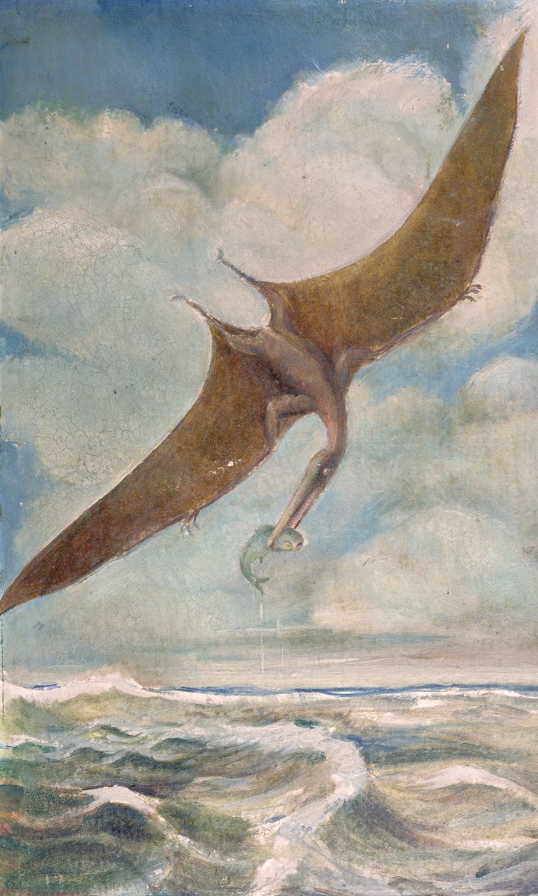Pterodactyl horgászat alkotó: French School