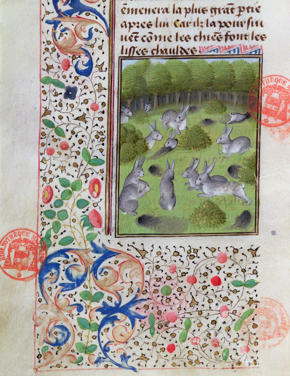 Rabbit warren, Gaston Phebus de Foix (1331-91) A vadászat könyvéből alkotó: French School