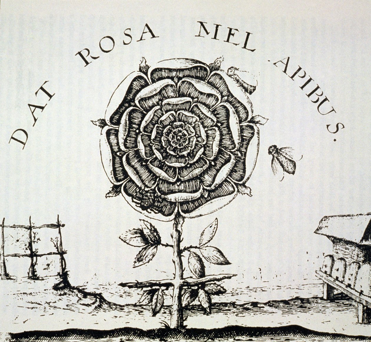 Rózsakeresztes allegória, Johann Theodore de Bry (1598 körül) metszetének másolata, a 19. század végén megjelent mágiatörténetben használt alkotó: French School