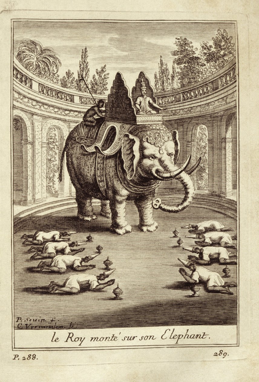 Királyi elefántok, Guy Tachard Voyage du Siam des Peres Jesuites-ból, 1688 alkotó: French School