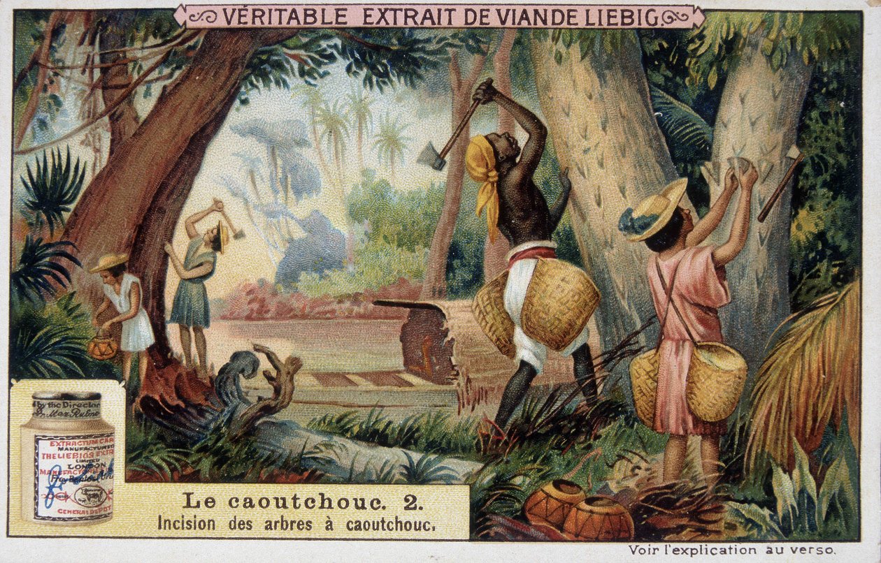 Gumi: gumitengelyek bemetszése - chromo Liébig. alkotó: French School