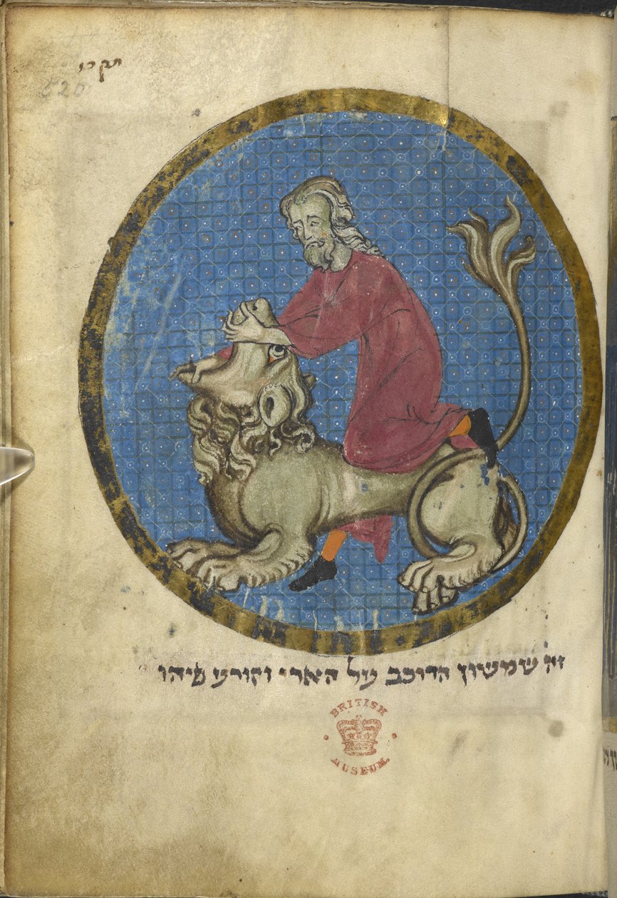 Sámson és az oroszlán, Észak-francia Miscellanyból, 1280 körül (vellum) alkotó: French School