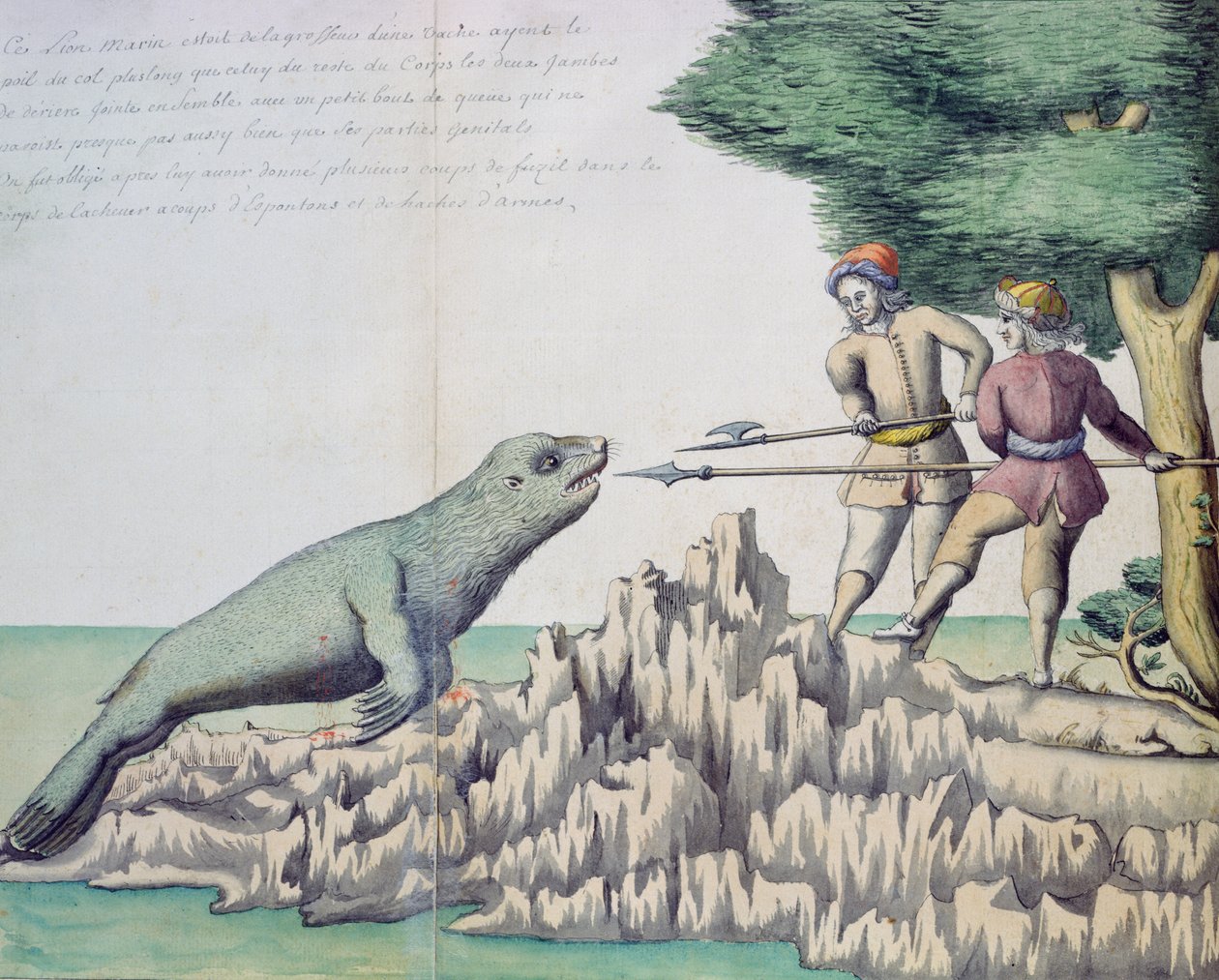 Oroszlánfóka a Magellán-szoros közelében (wc papíron) alkotó: French School