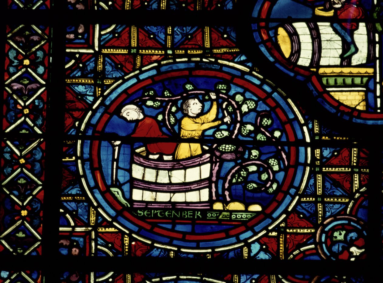 Szeptember, a Zodiákus ablakból, 13. század alkotó: French School