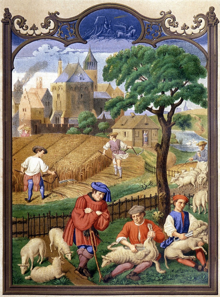 Birkavágás és betakarítás - miniatűr, középkor. alkotó: French School