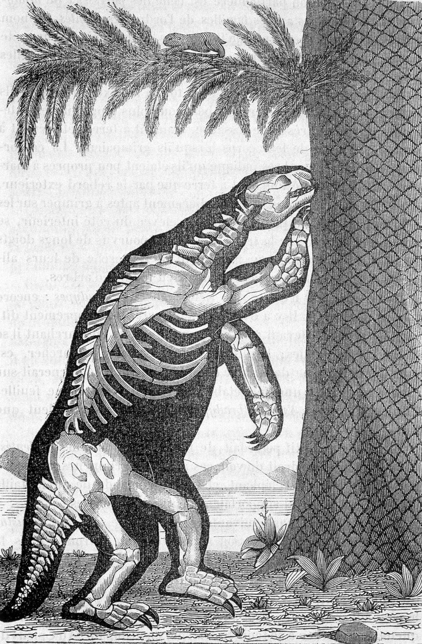 Megatérium csontváza - Camille Flammarion „A világ az ember teremtése előtt” című művében alkotó: French School