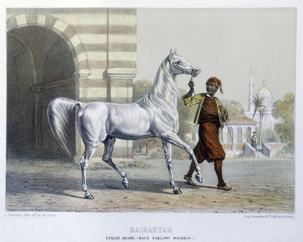 Stalon arab, Bairaktar alkotó: French School