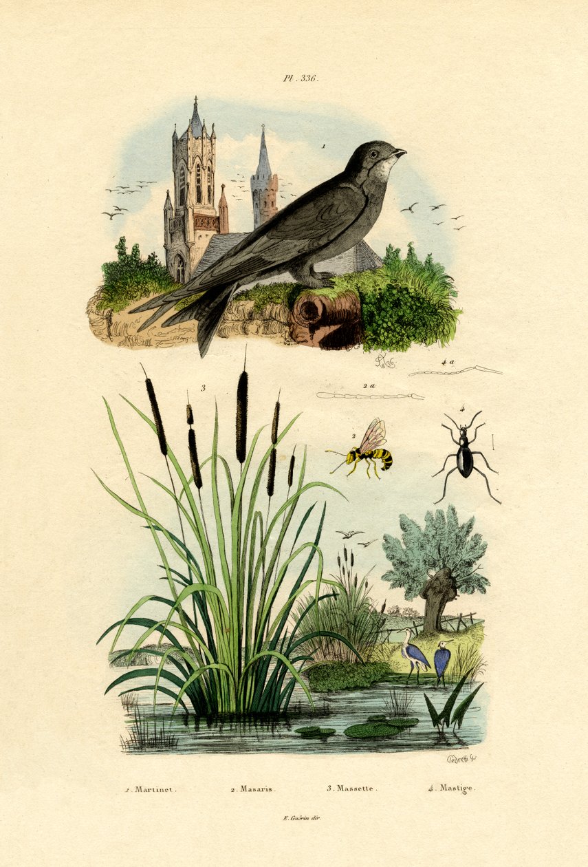 Swift, 1833-39 alkotó: French School