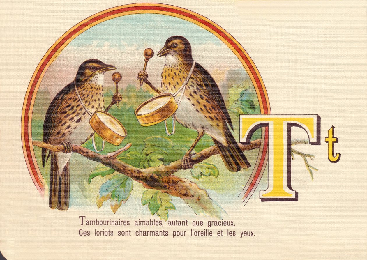 T: Tamburináriusok kedvesek, mint kecsesek, Ezek a lorioták elbűvölőek a fülnek és a szemnek. alkotó: French School