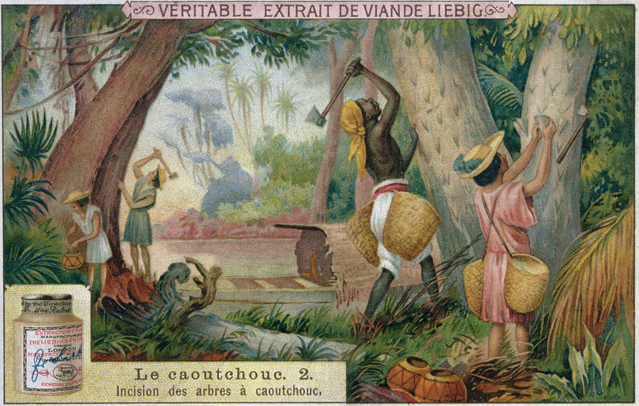 Gumifák kopogtatása, a Veritable Extrait de Viande Liebig reklámkártyája, 19. század vége alkotó: French School