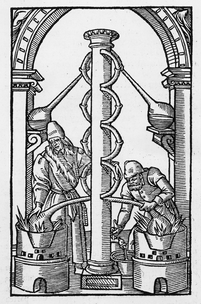 Az alkimista munka közben, Philippus Ulstadius „Coelum Philosophorum” illusztrációjának másolata, Párizs, 1544 alkotó: French School