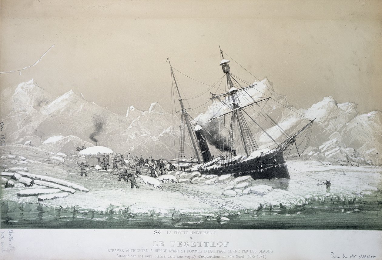 A Tegetthoff osztrák csavargőzös jégbe ragadt, és jegesmedvék támadták meg az északi-sarkra tett kutatóútja során 1872-4. alkotó: French School