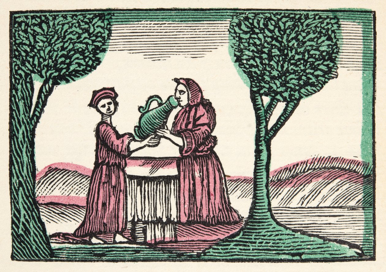 A tündér a történetekből vagy az elmúlt idők meséiből, amelyet Mother Goose, Erkölcsökkel, M Perrault, pub. 1925 (kézzel színezett fatömbnyomat) alkotó: French School